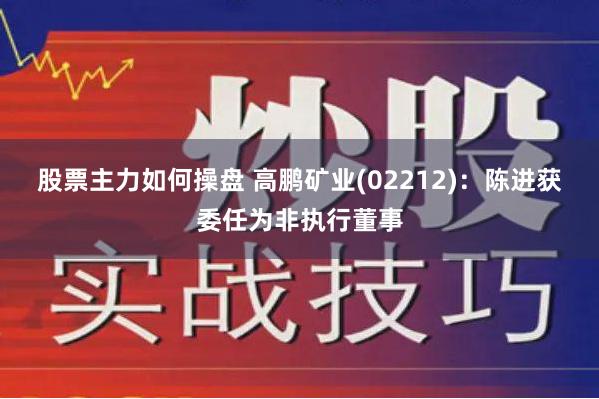 股票主力如何操盘 高鹏矿业(02212)：陈进获委任为非执行董事