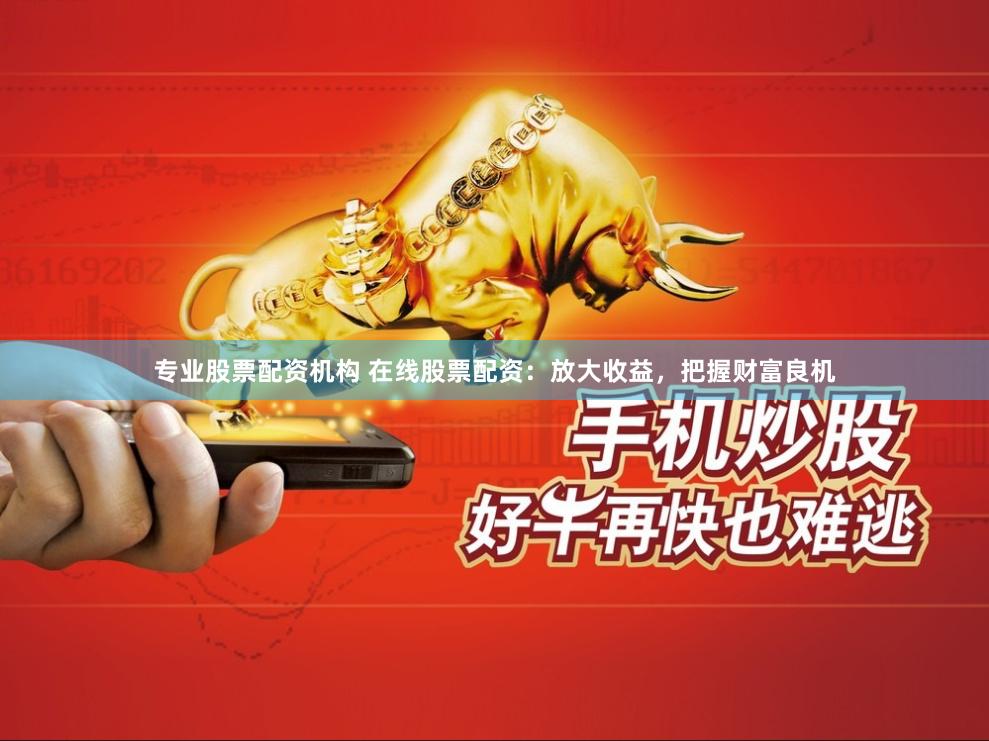 专业股票配资机构 在线股票配资：放大收益，把握财富良机